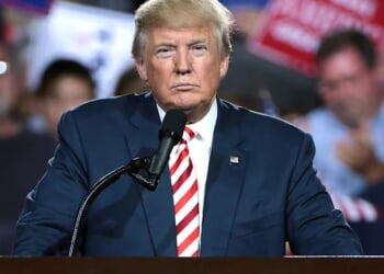 Who Are the Real Kings?