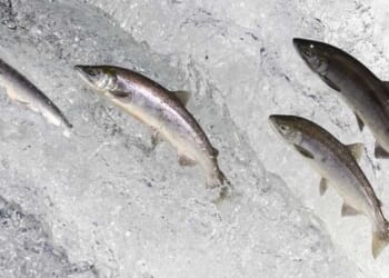 When the church drinks downstream, faith runs dry