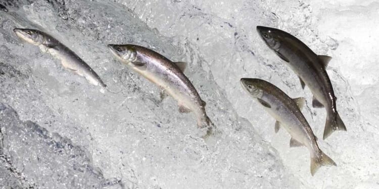 When the church drinks downstream, faith runs dry