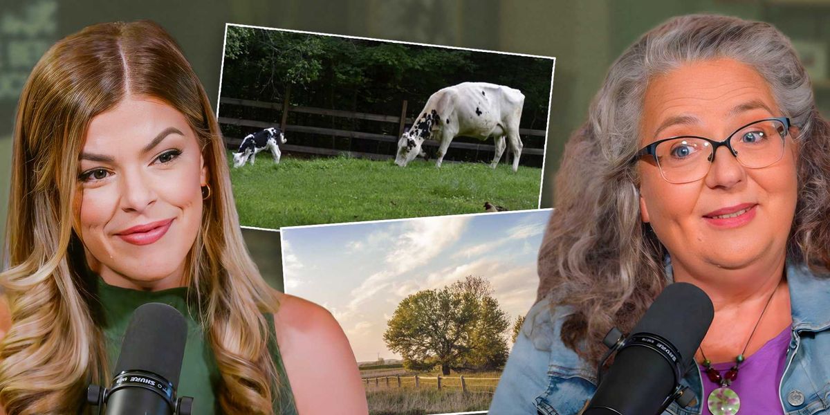 ‘Franken-wheat’: The real reason Americans can’t eat bread anymore