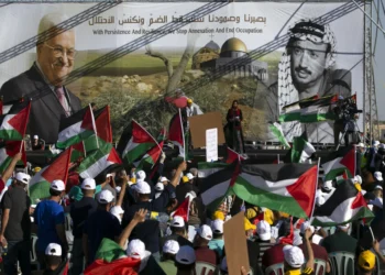 Glazov Gang: Occupied Palestinian Territories?