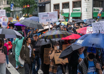 Are Democrats Really This Stupid?