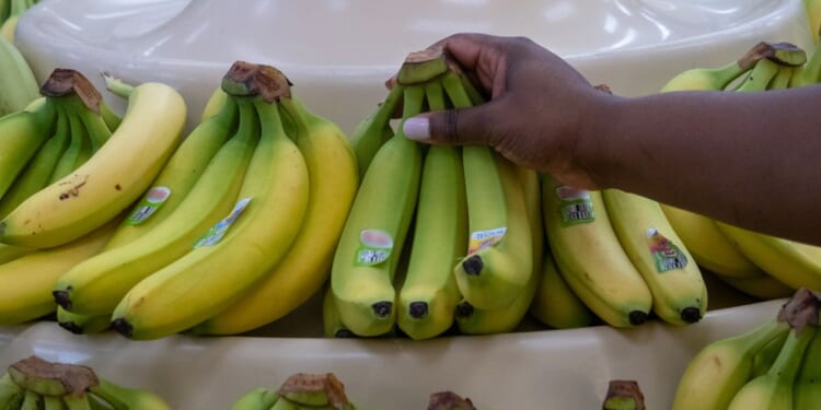 Illegal Aliens Milk SNAP For Taxpayer-Funded Free Food