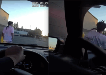 Cop driving patrol car doesn't mess around when he spots alleged gunman on the run — and reaching for his waistband