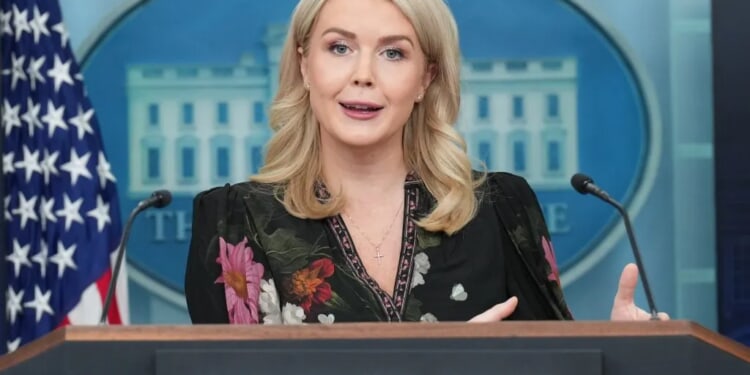 White House says flags lowered for Dick Cheney 'in accordance with statutory law'