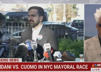 Grok Becomes Democrats’ Online Election Day Campaigner