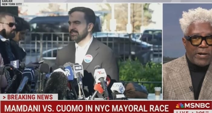 Grok Becomes Democrats’ Online Election Day Campaigner