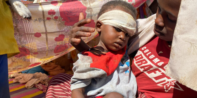 Top RSF commander estimates at least 7,000 civilians killed in El Fasher