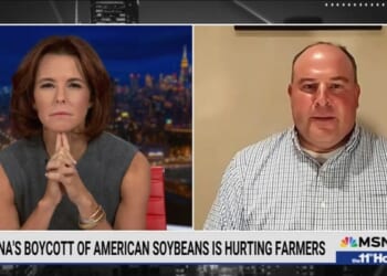 MSNBC Pushes Liberal Activists as ‘SNAP Recipient,’ ‘Soybean Farmer’