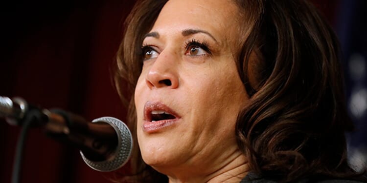 Kamala, Please Run Again | Frontpage Mag