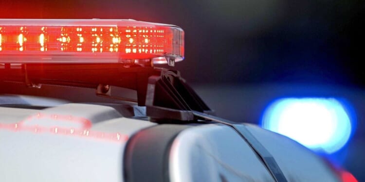 Outrage erupts after teenager pleads no contest to horrific rape charges and walks free