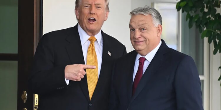 Orban lays on Trump charm offensive