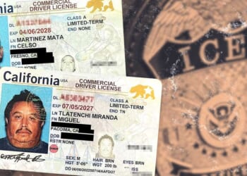 Oklahoma ICE sting busts 34 illegal alien truck drivers, others with rap sheets