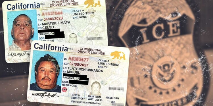 Oklahoma ICE sting busts 34 illegal alien truck drivers, others with rap sheets