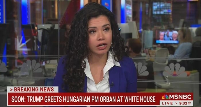 MSNBC Thinks Trump, GOP Might Copy Hungarian Autocratic Playbook