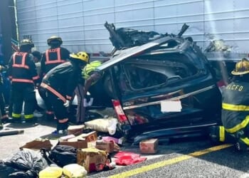 Road Carnage Caused by Illegal Aliens