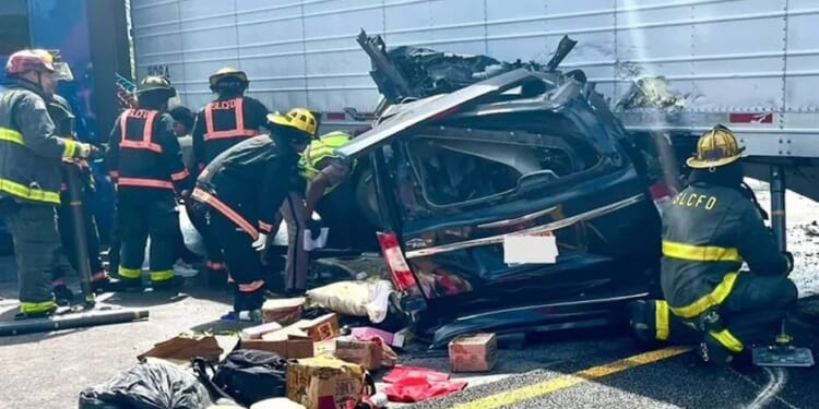 Road Carnage Caused by Illegal Aliens