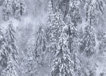 'It was me and God every night': Hunter was lost in the wilderness for nearly 3 weeks — until God told him 'let's go walking'