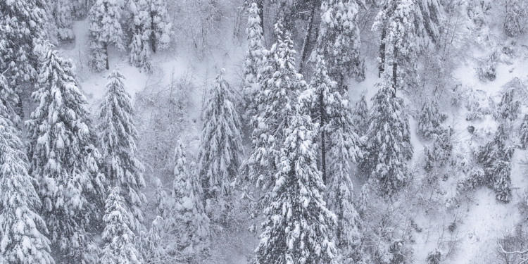 'It was me and God every night': Hunter was lost in the wilderness for nearly 3 weeks — until God told him 'let's go walking'