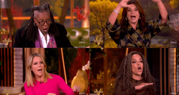 ‘I Want an Opposition Party!’ The View SCREAM at Dems for Reopening Gov.