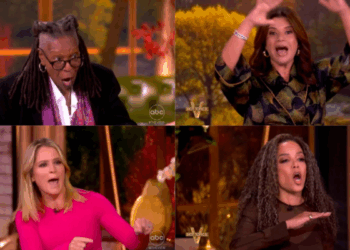 ‘I Want an Opposition Party!’ The View SCREAM at Dems for Reopening Gov.