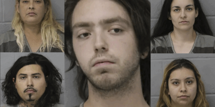 Half-naked woman 'missing flesh' and handcuffed in backyard was tortured for weeks, beaten with bat, shot with BB gun: Cops