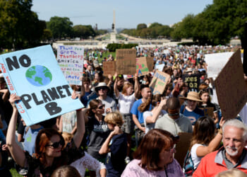 How Social Justice Destroyed Environmentalists