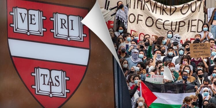 Academic Felon: Harvard University | Frontpage Mag