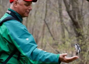 Bird by bird: The hobby healing millions of burned-out Americans