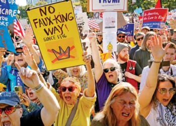 The demonstrators and democracy