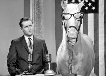 Healthy as a horse: My journey into the ivermectin underworld