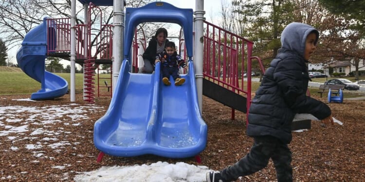 Woman faces prison time for bringing dangerous dog to playground that mauled boy for 2 minutes