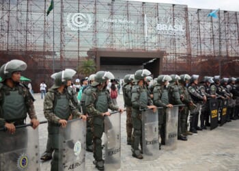 The War on Plastic Is Getting Out of Hand