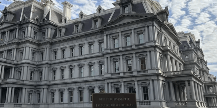 Same People Who Tore Down Statues, Outraged Trump May Paint a Building