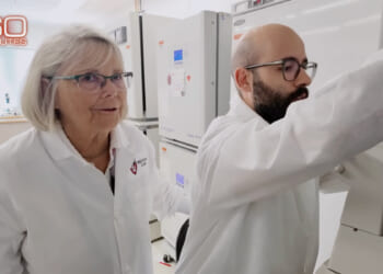 What <i>60 Minutes</i> Got Wrong About Harvard and the Biomedical Research Enterprise