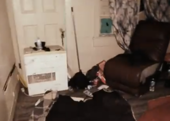 Mass Deportations Won't Lower Housing Prices