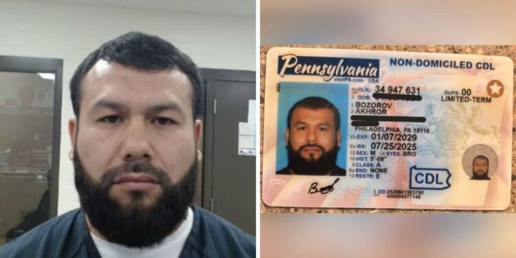 ICE takes down alleged 'wanted terrorist' illegal alien trucker