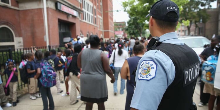 Chicago community outraged over viral video of mom and kids getting jumped by grade-school children