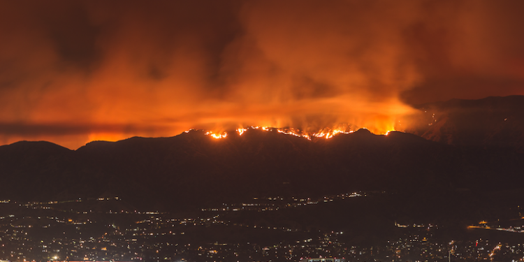 We Know Now Why LA Burned