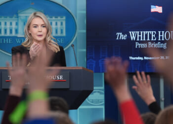 Leavitt defends Trump 'piggy' comment and call to execute Dems