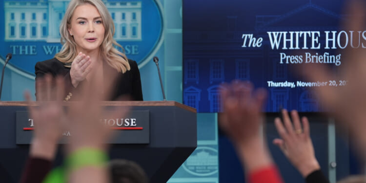 Leavitt defends Trump 'piggy' comment and call to execute Dems