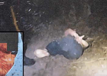 GOP ex-aide found tied up with gruesome wounds and 'Trump whore' written on her stomach — feds say it was all a hoax