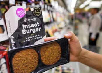 Bugs for thee, beef for me: How big business monopolizes meat