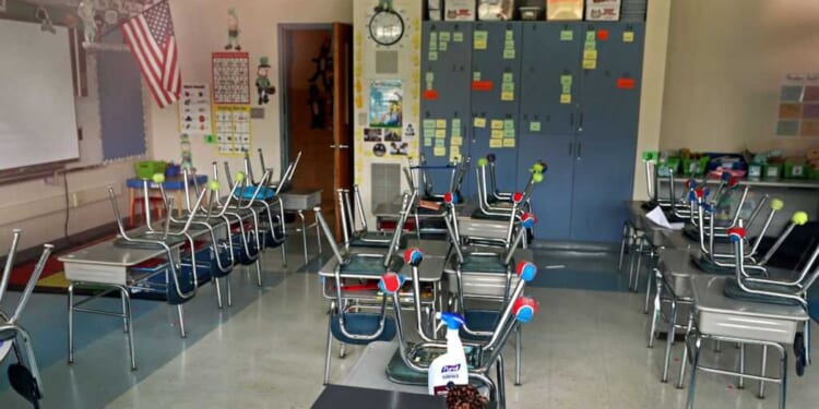 The radical nonprofit that is destroying state education