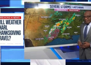 Nets Skip Hurricane Season’s Total Whiff