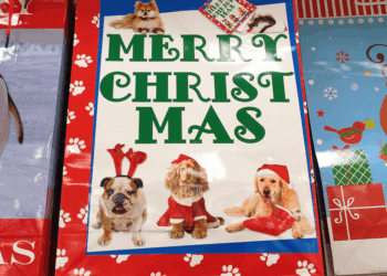 'Santa, I want the head of a Nazi under my tree': Masked creeps deliver Christmas cards with threatening leftist messages