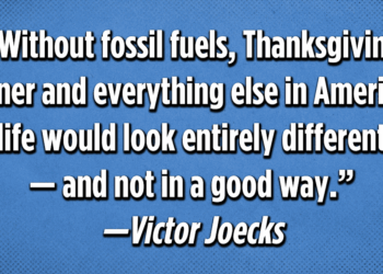 Wednesday Short Cuts