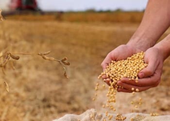 Give thanks for the sun, the CO2, and the farmers — not the climate scolds