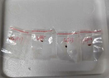 Chinese scientist to be deported after pleading guilty in fungus smuggling case