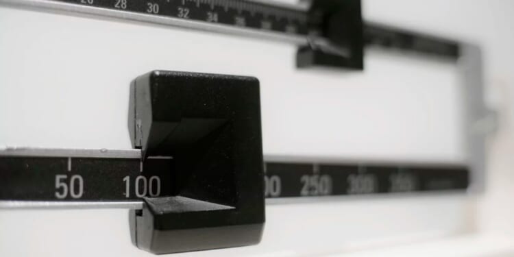 Competition, not price controls, just slashed GLP-1 prices